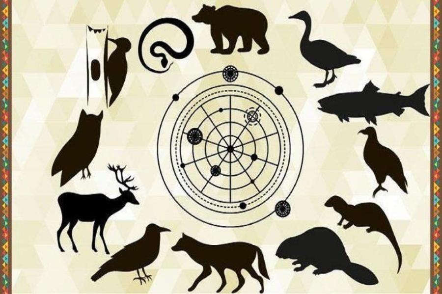 Животное-покровитель по дате рождения: как оно влияет на вашу жизнь