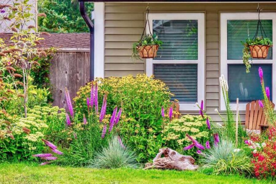 Список растений, которые не рекомендуют сажать у дома