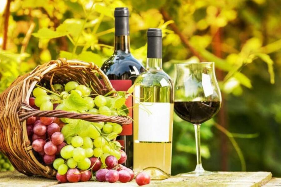 Выпить сухого: 10 винных регионов Европы, которые стоит посетить в 2025 году