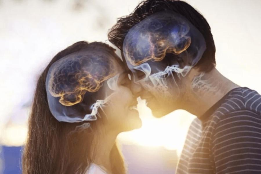 Что такое любовная химия с точки зрения науки