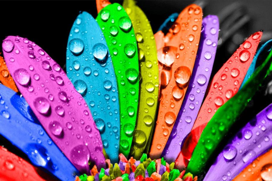 Как цвета воздействуют на психоэмоциональное состояние: точка зрения психолога