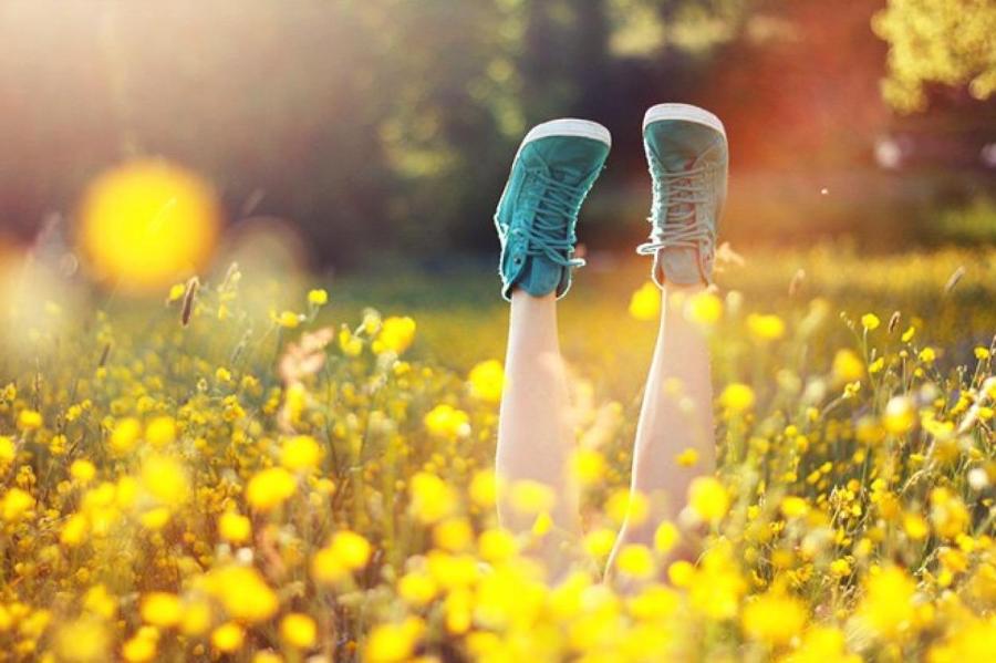 Вкус счастья: 19 навыков, которые наполнят жизнь радостью