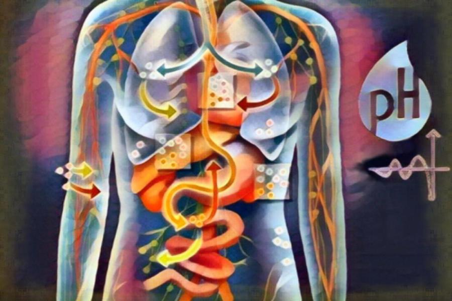 Что такое закисление организма и как понять, что кислотность нарушена: тревожные сигналы
