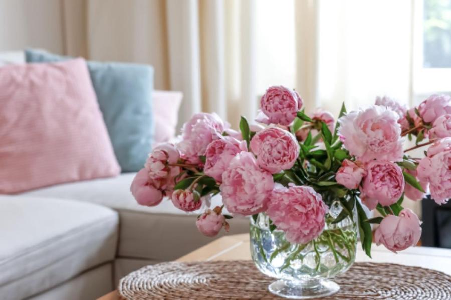 Как продлить свежесть пионов в вазе: пошаговое руководство