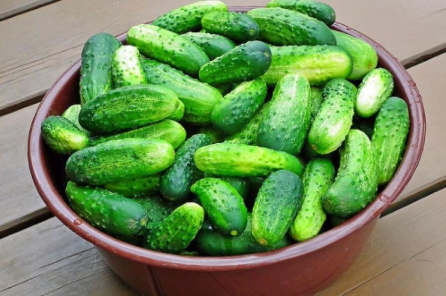 Как хранить огурцы так, чтобы они оставались свежими до 10 дней