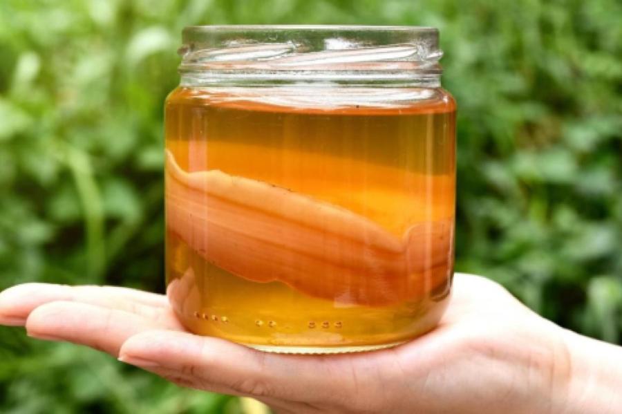 Комбуча или бабушкин чайный гриб: почему этот напиток стоит включить в рацион