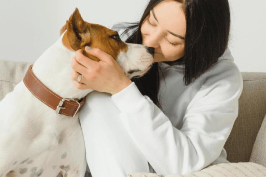 Обнимашки с собаками: что они на самом деле чувствуют?