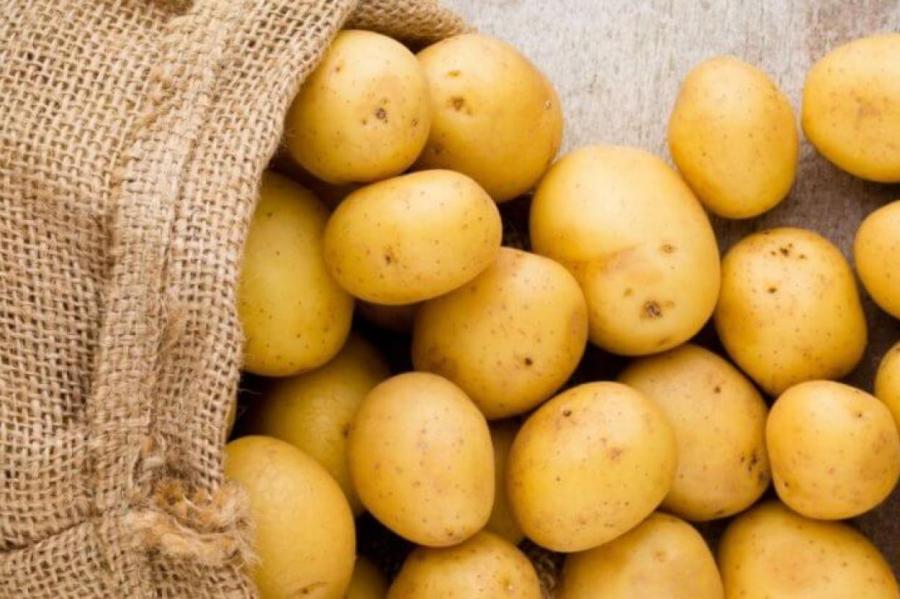 Где хранить картофель, чтобы он оставался свежим до 6 месяцев