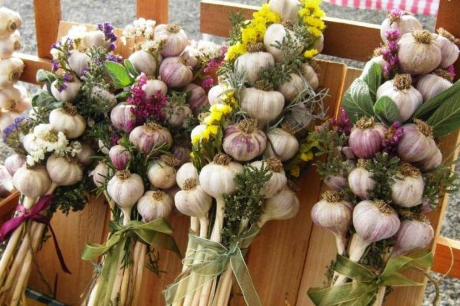 Как правильно заготовить чеснок и лук на зиму