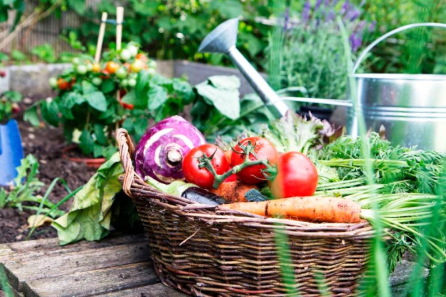 Готовим дачу к осени: полный чек-лист для спокойной зимовки