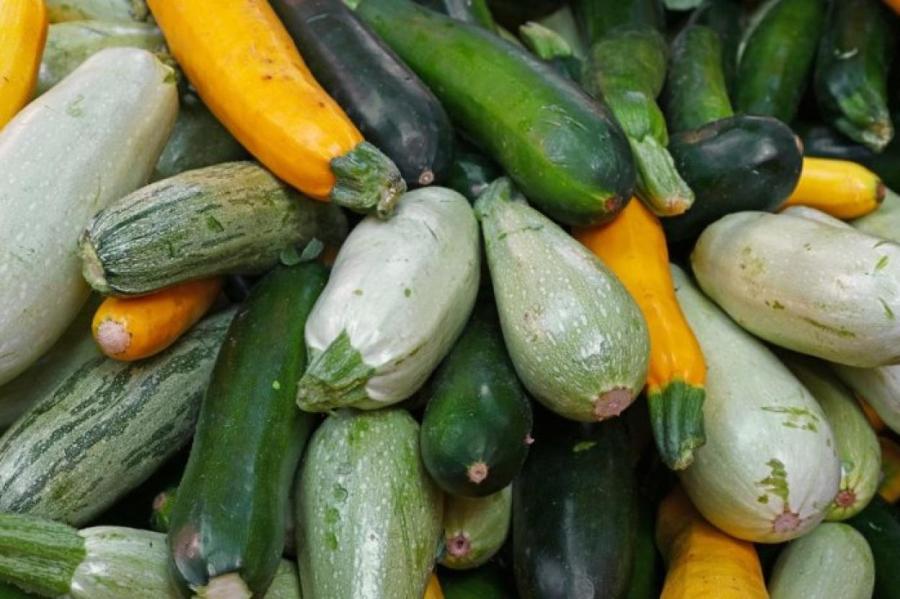 Кабачок и цукини: чем отличаются и кому противопоказаны