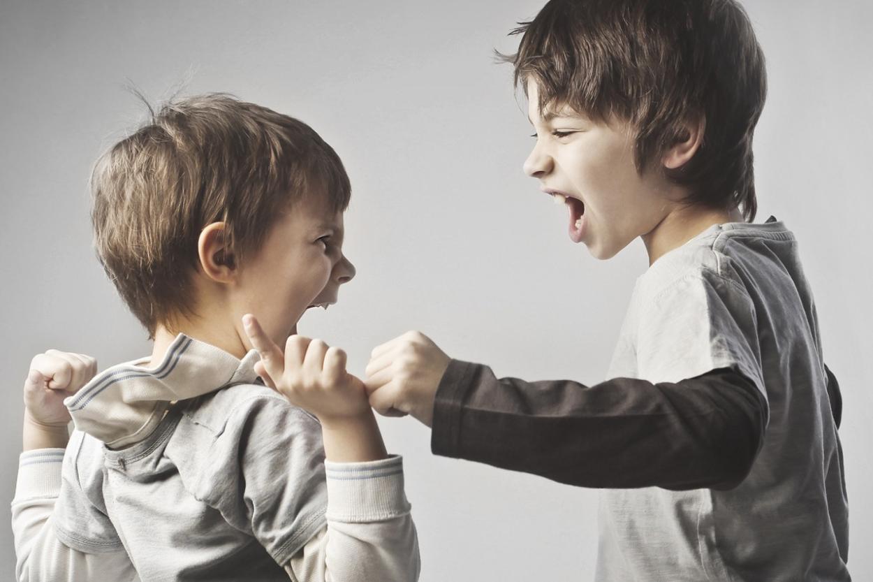 Детская агрессия или защита границ? Почему дети толкаются и дерутся