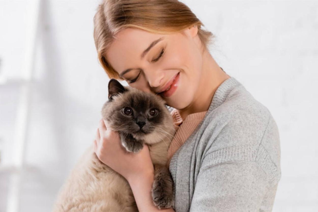 Пушистые терапевты: как кошки лечат нас без таблеток