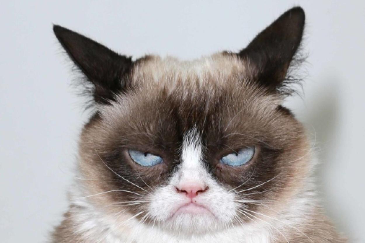 Вечно недовольные знаки Зодиака: кто не умеет радоваться жизни