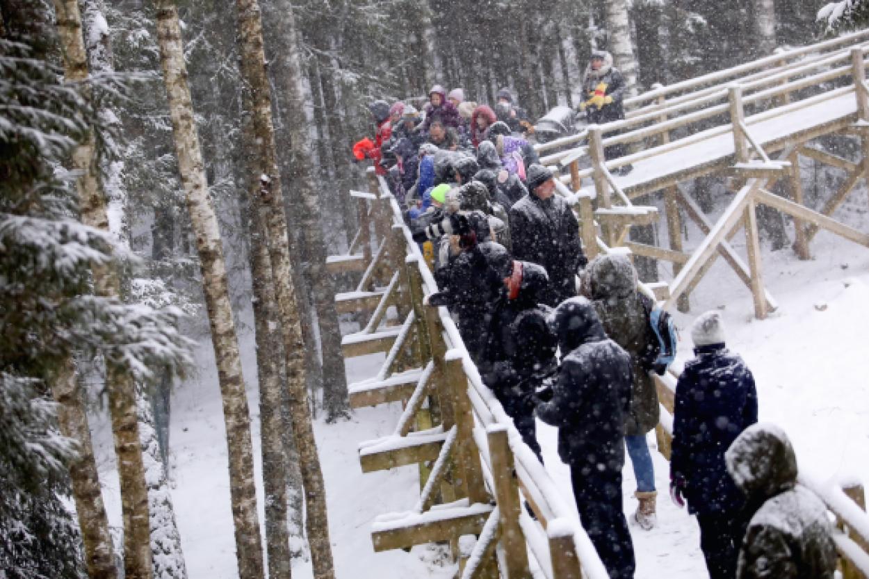 «Встреть зверей в темноте»: Лигатне приглашает в мир ночных загадок
