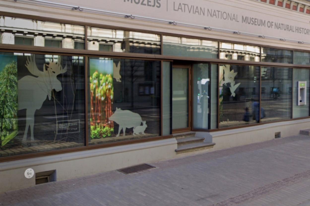 Новая экспозиция «Скелетариум» в Латвийском Национальном музее природы