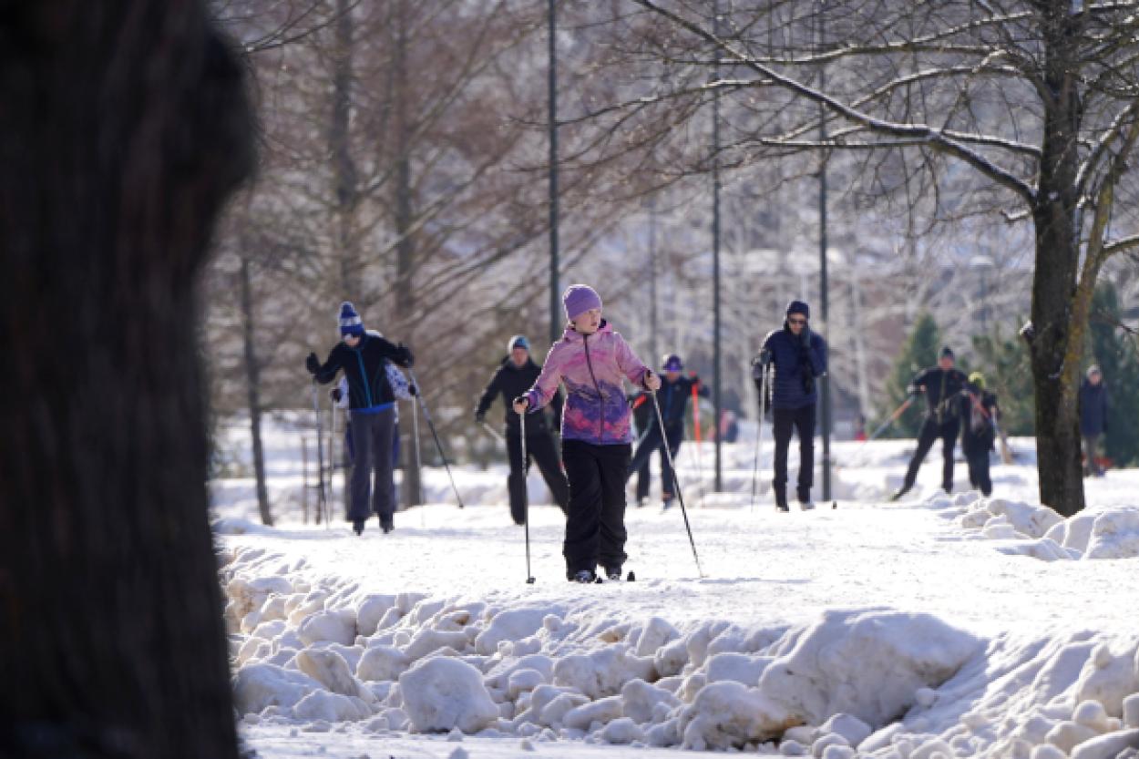 Лыжная трасса в парке Победы: новое место для зимних прогулок