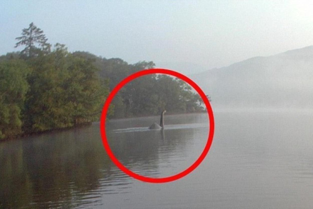 Новый взгляд на лох-несское чудовище: итоги 52-летних поисков