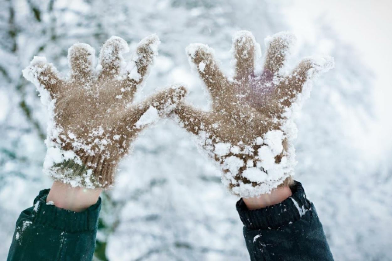 Варежки или перчатки: как выбрать правильную защиту для рук зимой