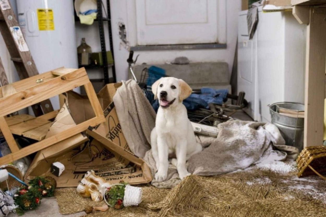 Кинокатарсис: 9 фильмов, которые помогут вам выплакаться и расслабиться