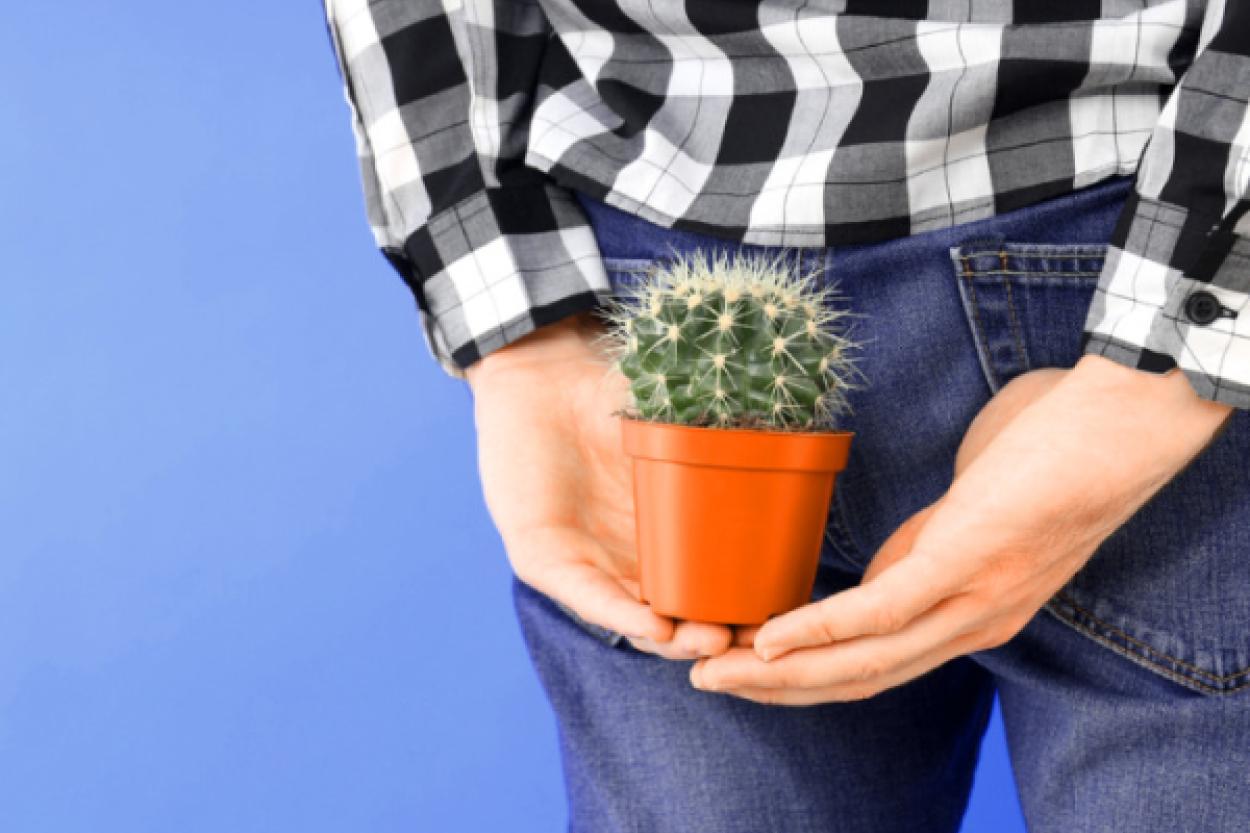 8 важных вопросов о лечении геморроя, которые вы стесняетесь задать