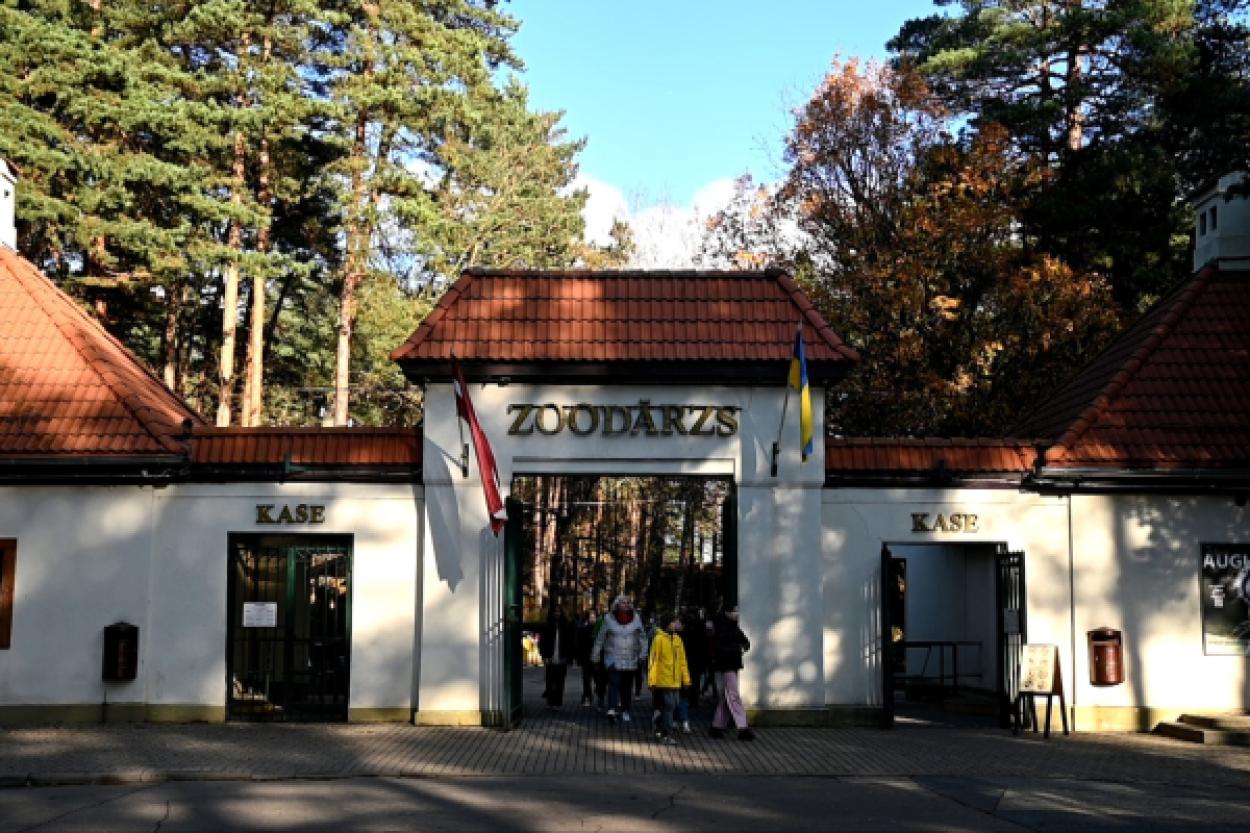 Необычный способ отметить День святого Валентина: романтика в Рижском зоопарке