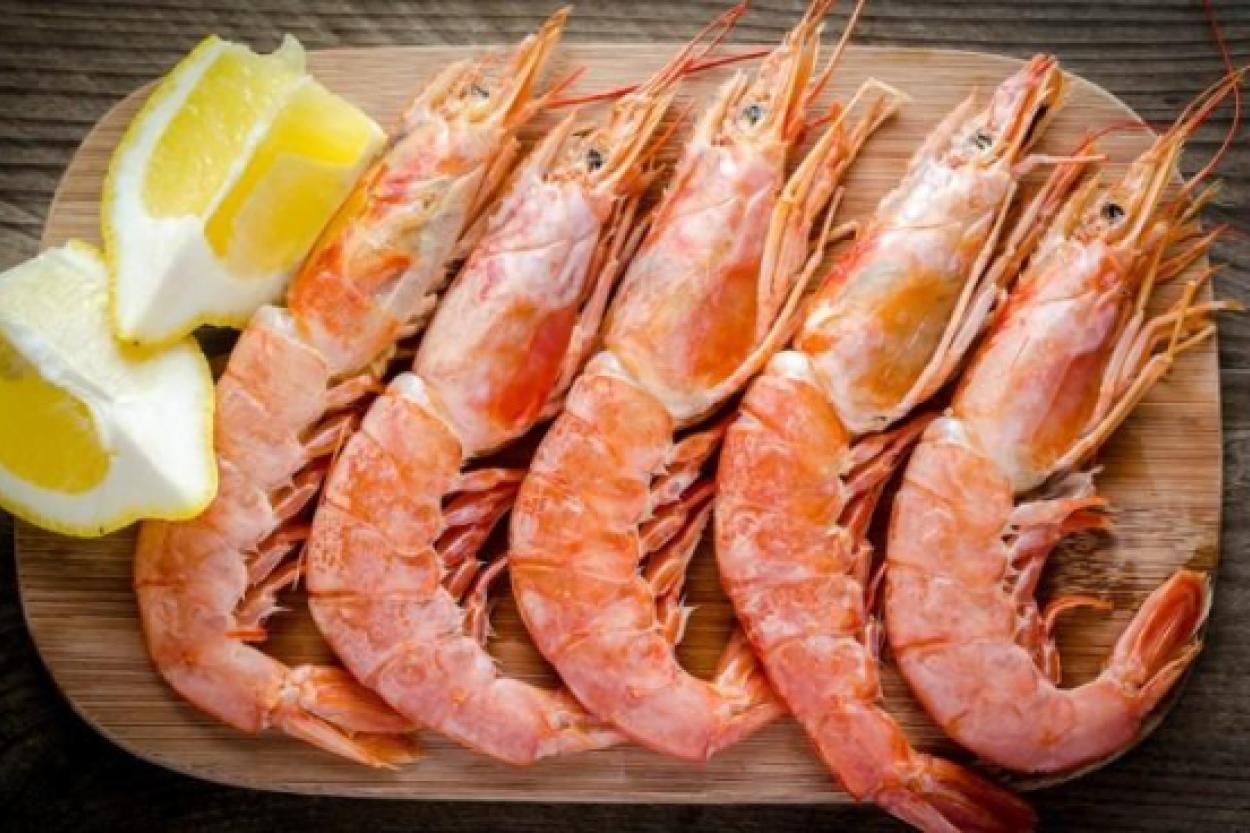 Сырые креветки для вашей собаки: стоит ли рисковать