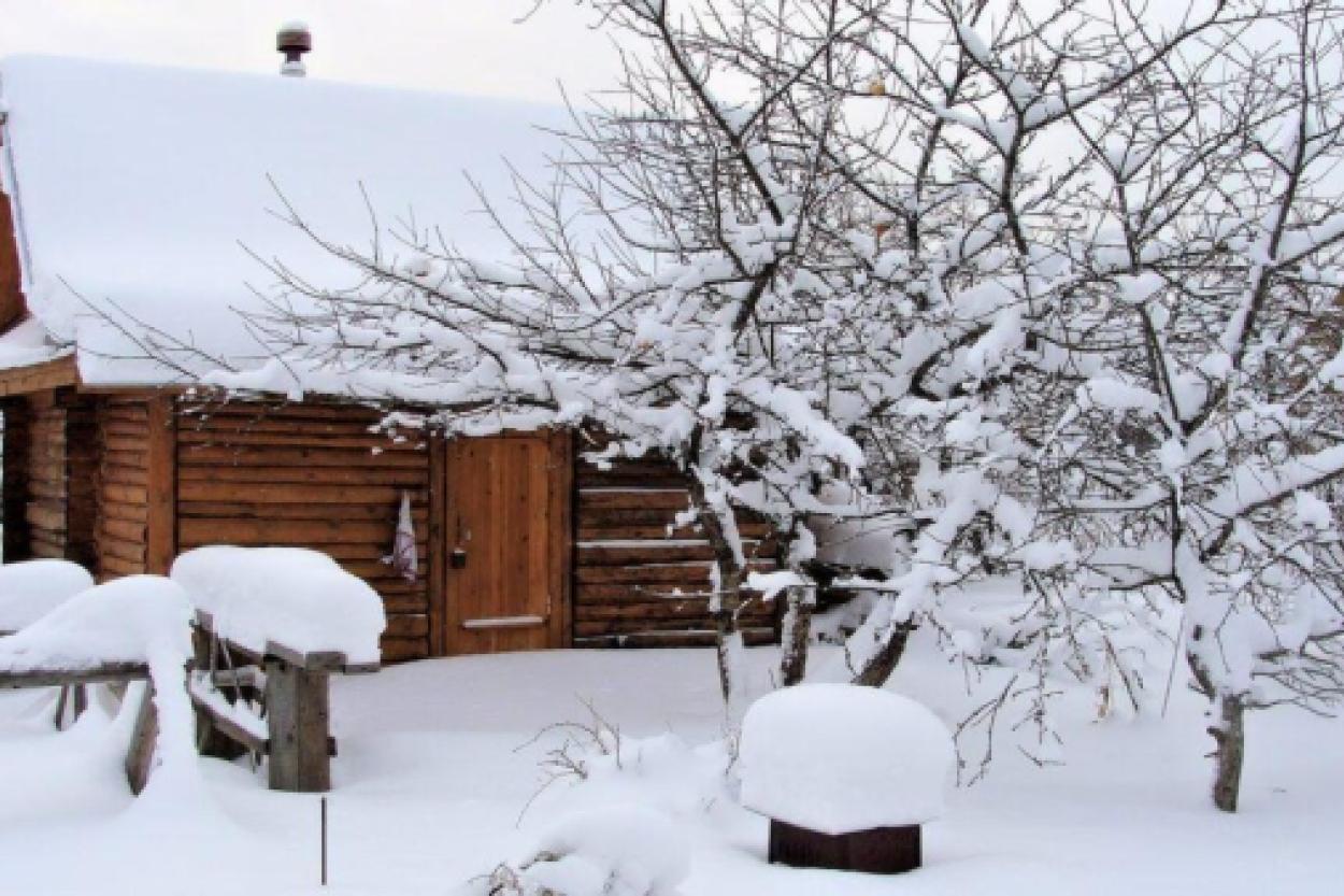 Подготовка дачи к весне: что надо сделать до конца февраля