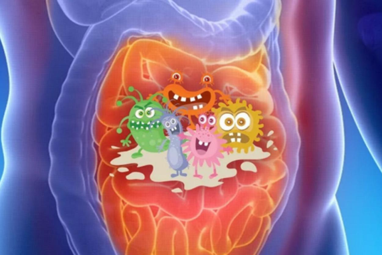 Газы и ваше пищеварение: что важно знать