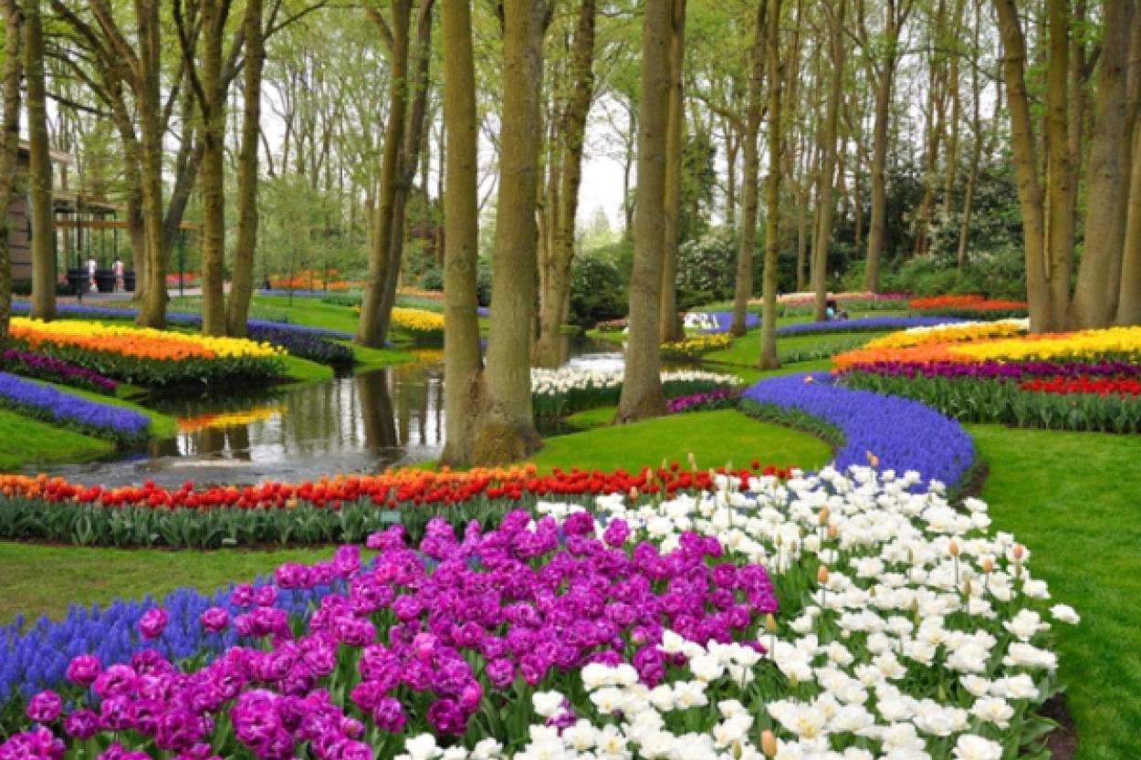 Цветочный туризм: 8 чудесных уголков Европы для любителей природы