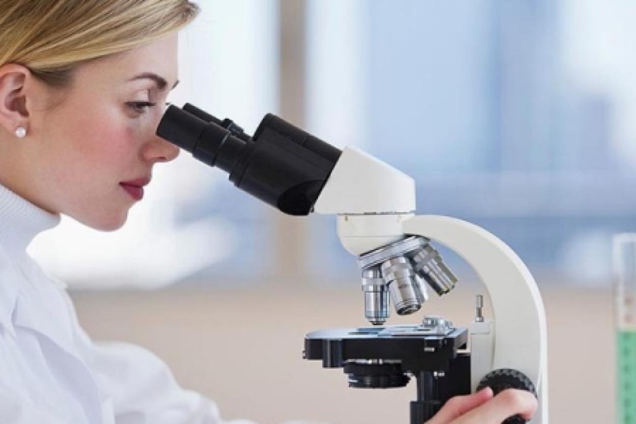 Как сезон влияет на подвижность сперматозоидов