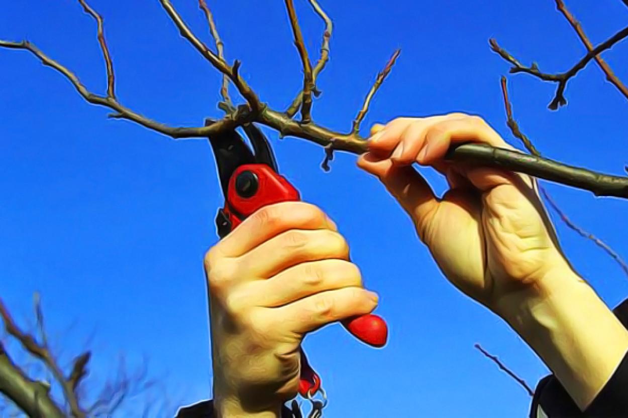 Весна на даче: что стоит сделать в начале марта