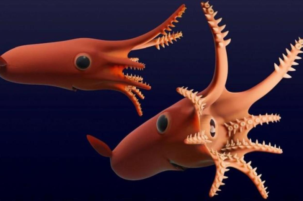 У животных только один мозг или..?