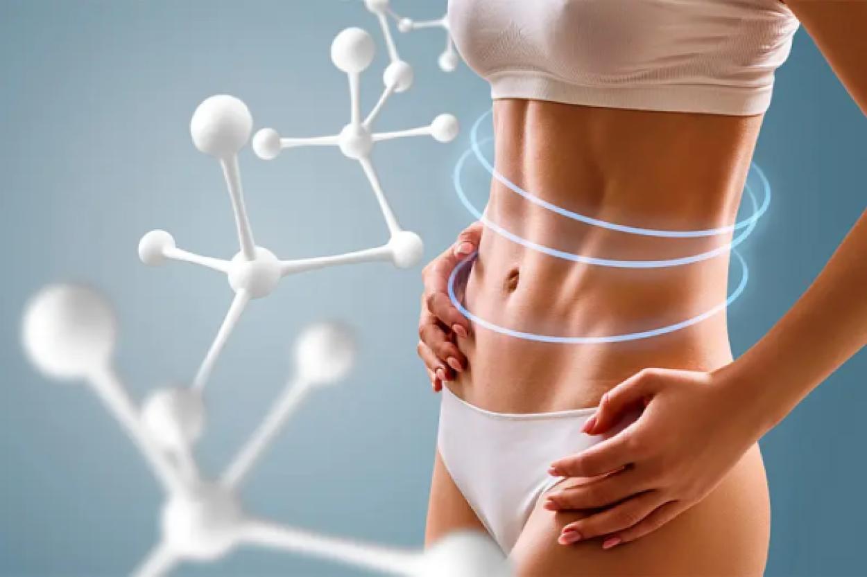 Метаболизм без заблуждений: истинные факторы, влияющие на обмен веществ