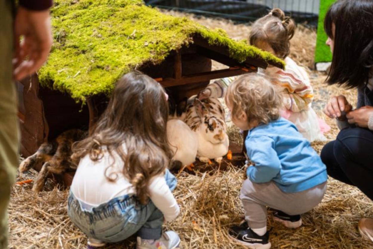 PetExpo 2026 – погружение в мир домашних животных