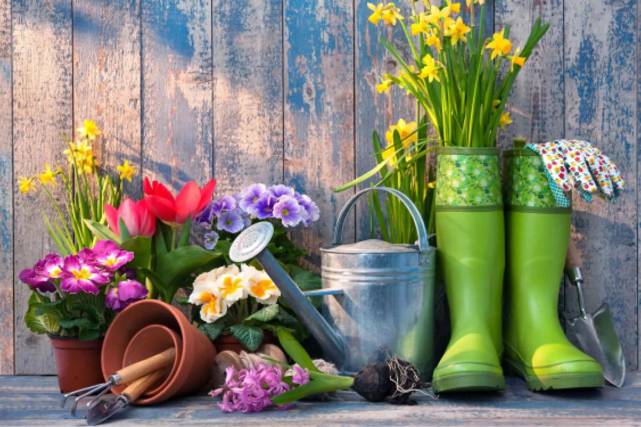 Не календарь, а цветение деревьев: народные приметы для идеального посева овощей