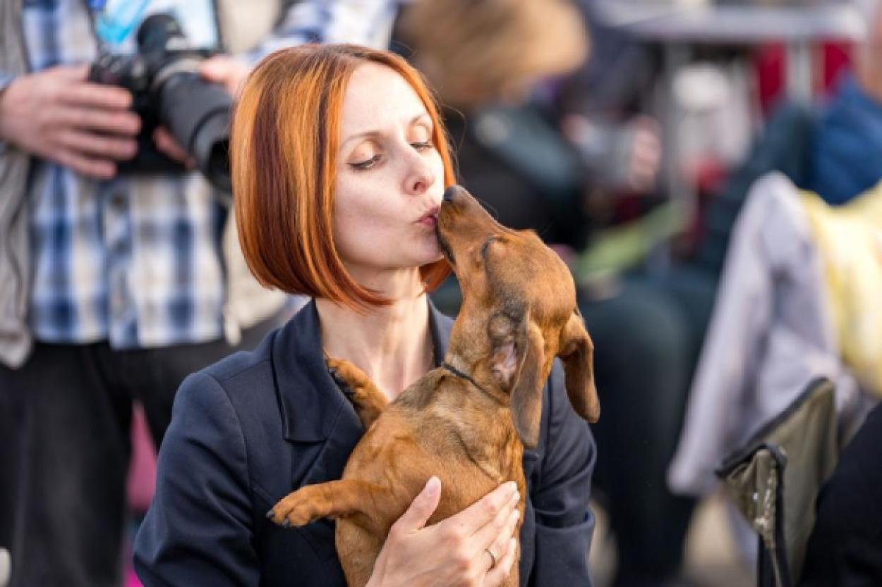 Как собака помогает людям справляться со стрессом