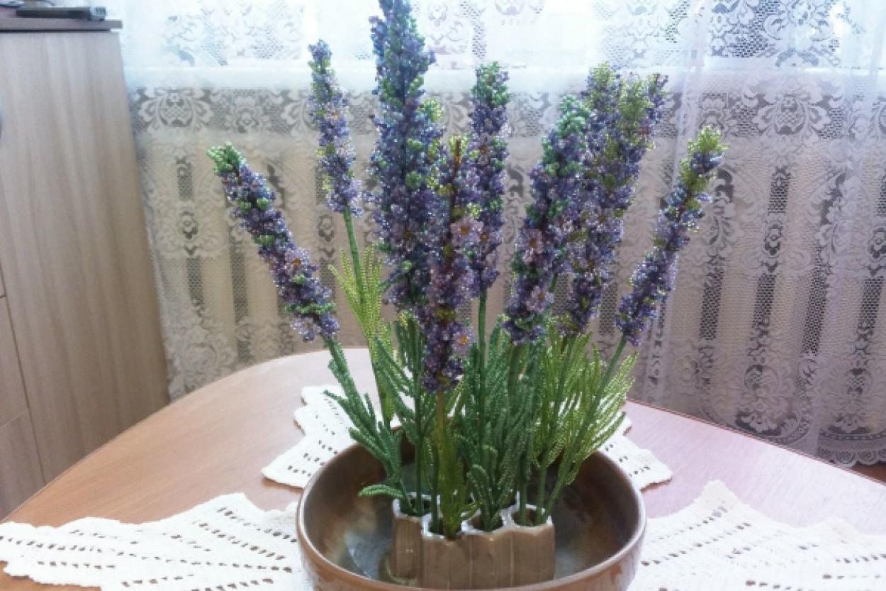 Как растения могут изменить атмосферу вашего дома