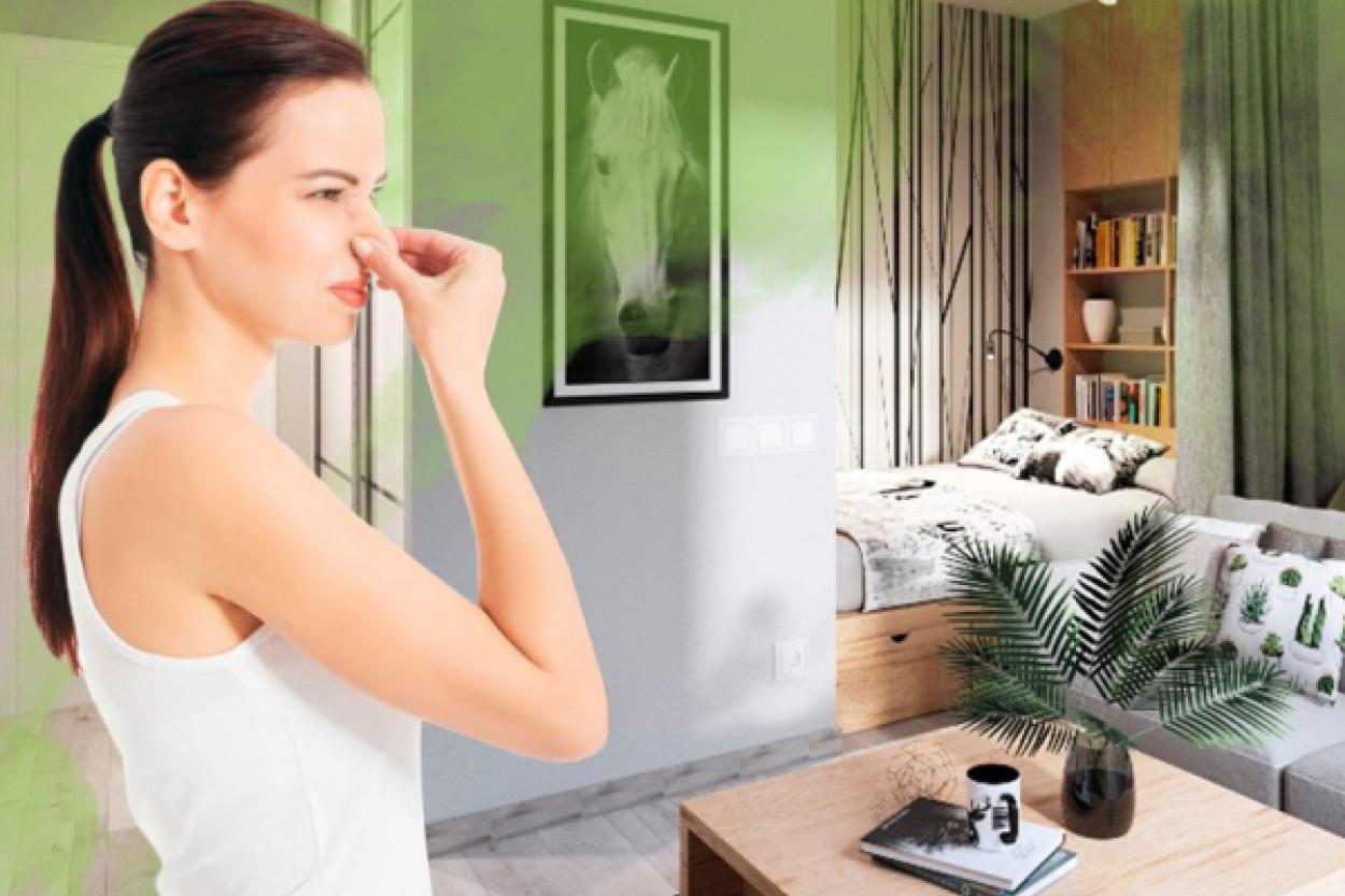 Как избавиться от неприятных запахов в доме: простые и рабочие способы