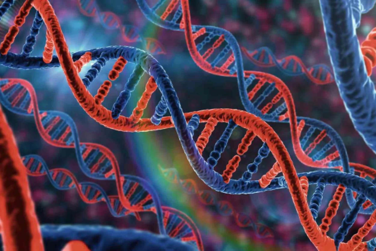 Как наследственная мутация гена TP53 влияет на риск рака к 60 годам