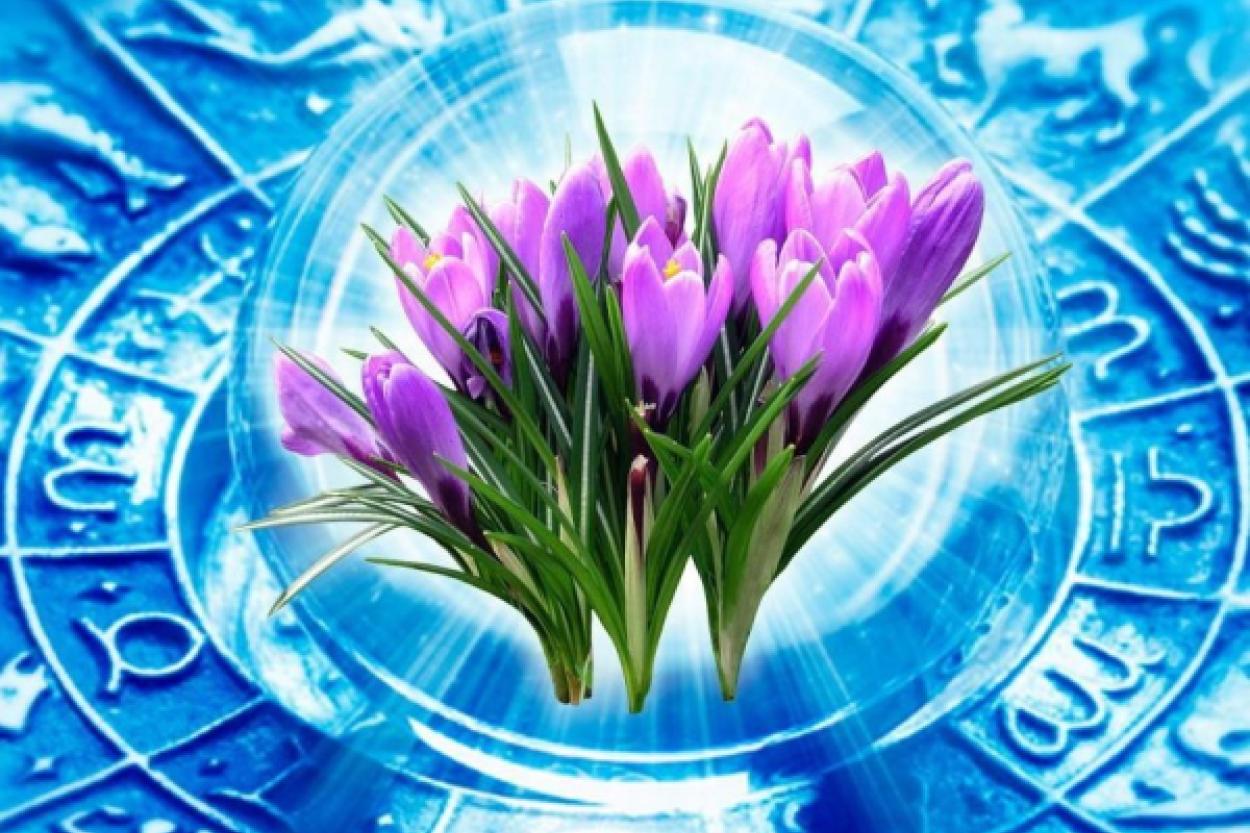 Апрель 2026: Прогноз Тамары Глобы о переменах и важных решениях