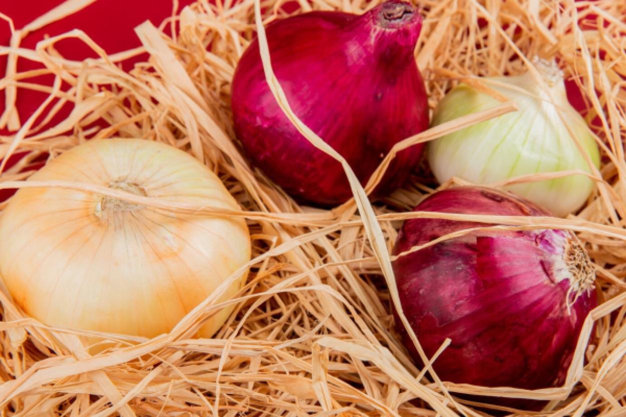 Как выбрать лук: белый или красный для ваших блюд
