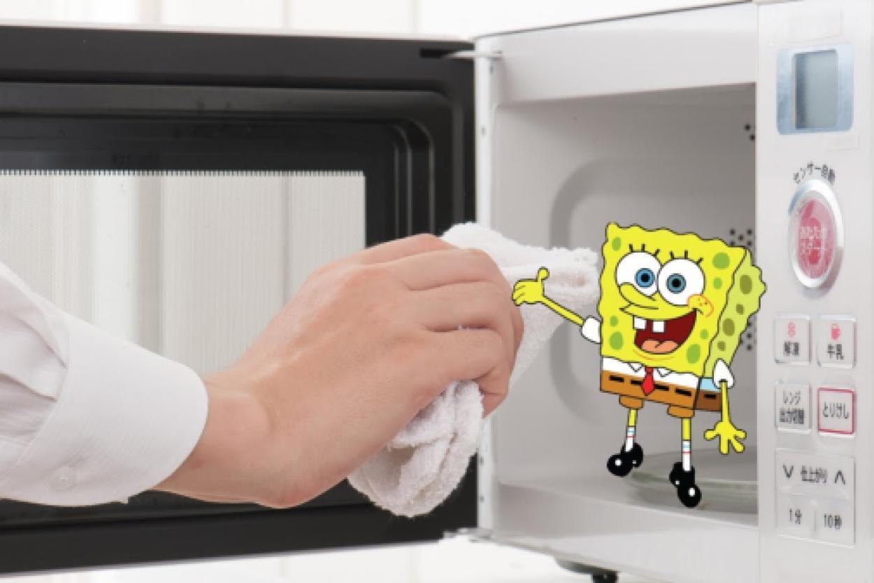 Почему не стоит дезинфицировать губки в микроволновке