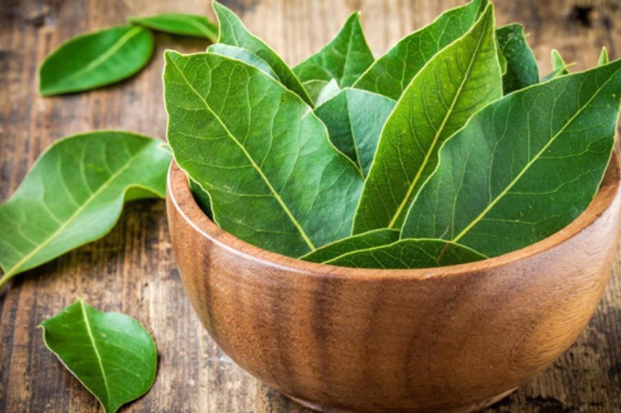 Лавровый лист вместо химии: простой способ сделать стирку эффективнее