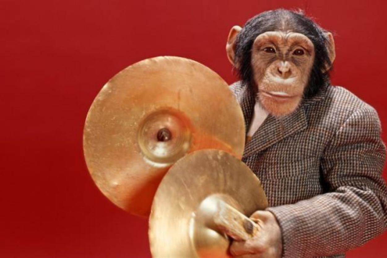 Животные и алкоголь: удивительные факты о спиртных напитках в дикой природе