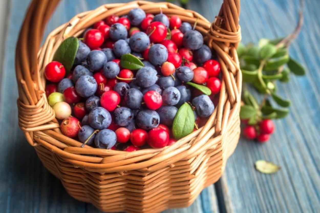 Клюква и здоровье зубов: что о ней узнали ученые