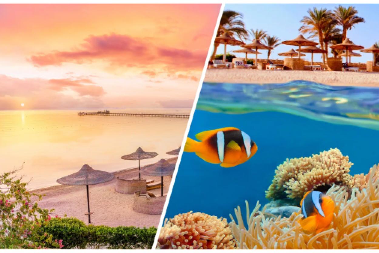 Шарм-эш-Шейх или Хургада: как сделать правильный выбор для отдыха в Египте