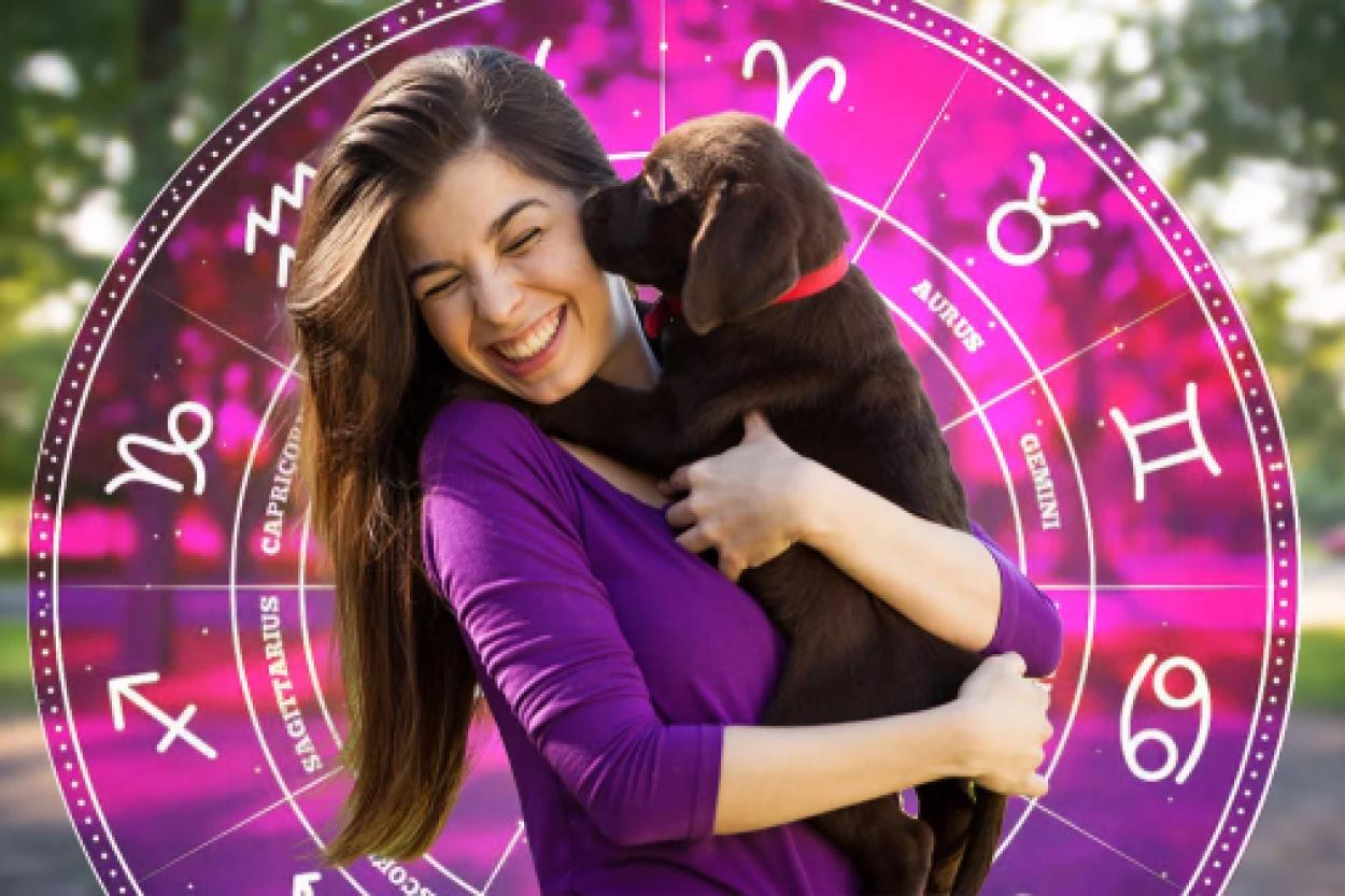 Как выбрать идеального питомца в зависимости от знака зодиака