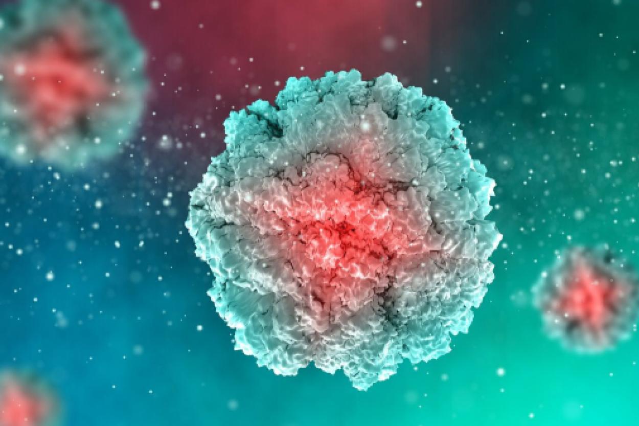 Витамин B7: Интересные факты о его роли в борьбе с раковыми клетками