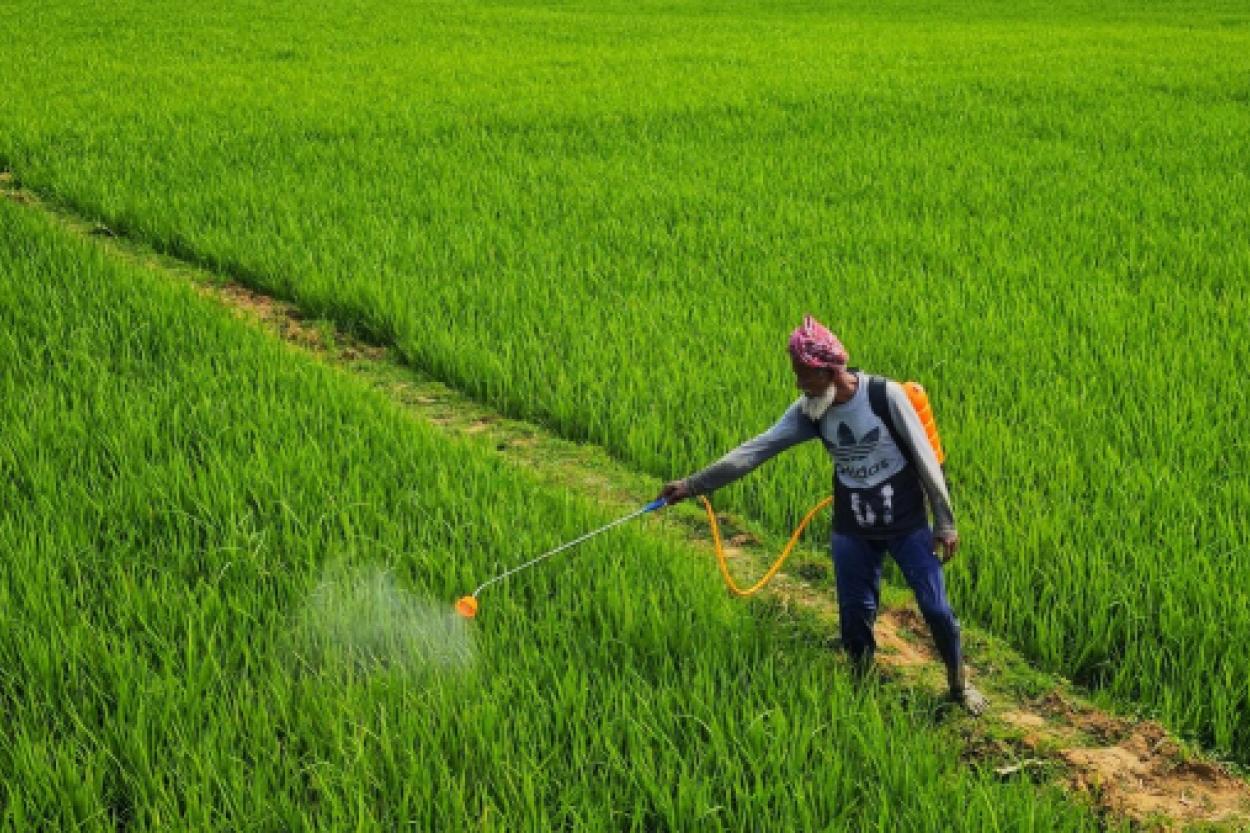 Неожиданная связь: гербициды и рак кишечника у молодежи